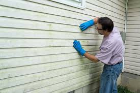 Affordable Siding Repair and Maintenance Services in Dunstan, ME